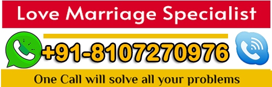 Famous Pandit Vikas Sharma